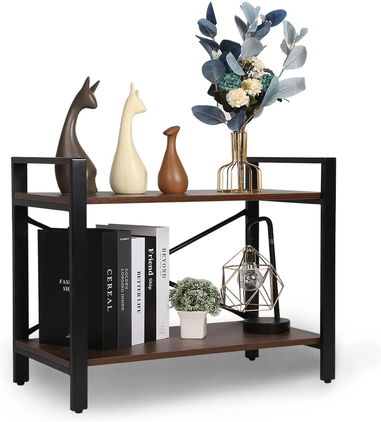 Double Layer Bookshelf