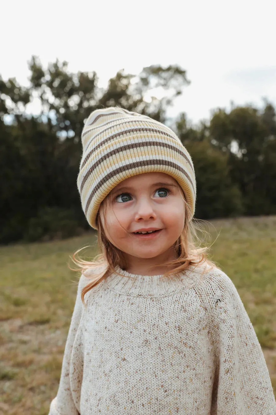 Organic Funfetti Raglan Pullover