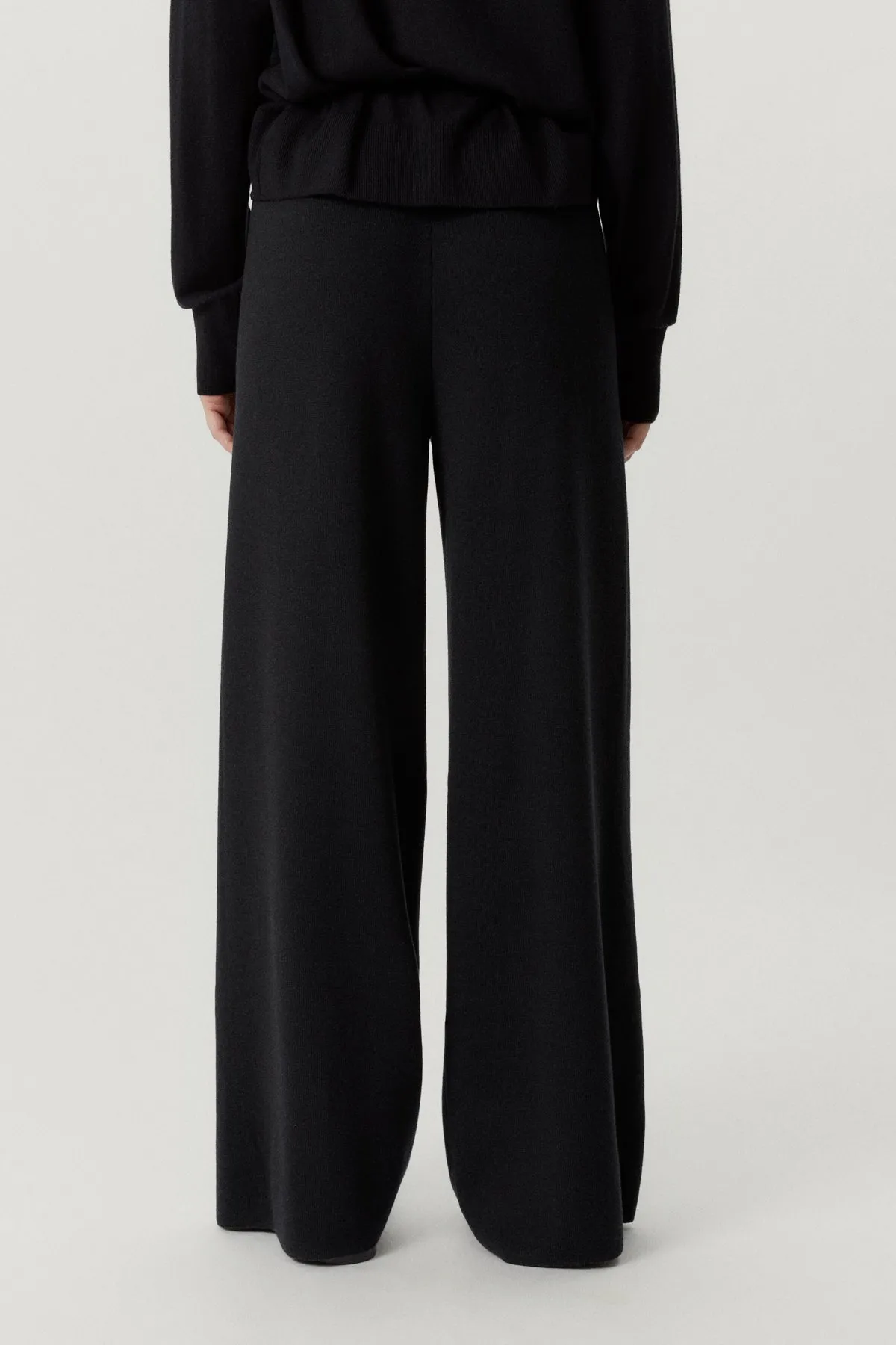 The Ultrasoft Wool Palazzo Pants